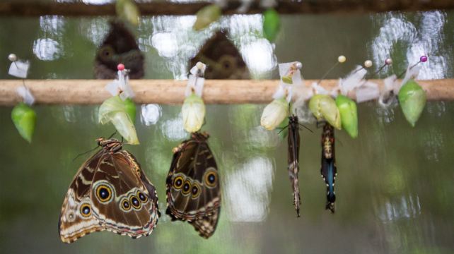 9-Day Costa Rica Quest Tour from San Jose·La Fortuna, Monteverde, Quepos and Manuel Antonio National Park | Small Group Tour