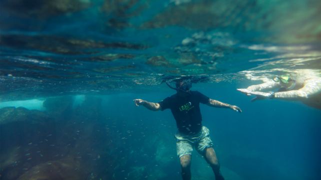 9-Day Galápagos Island Hopping Tour from Quito · Puerto Ayora, Floreana Island, Isabela Island, Cotopaxi