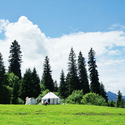 新疆北疆+伊犁+伊宁市+那拉提旅游风景区+赛里木湖5日4晚拼小团