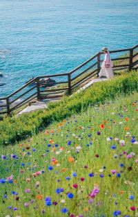 秦皇岛+北戴河+山海关5日4晚跟团游图片