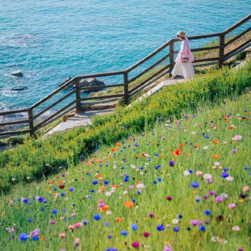 秦皇岛+北戴河+山海关5日4晚跟团游