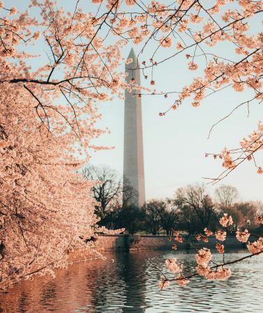 2D1N • United States: New York, Philadelphia&Washington, D. C., Eastern Classic