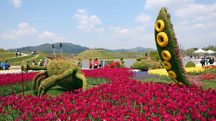 3-Day Group Tours: Korea Western course by K-shuttle Tour from Seoul to Busan