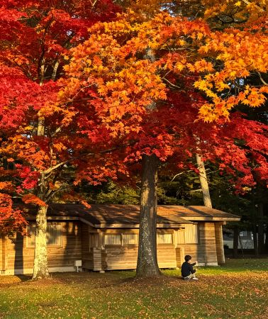 6D5N • Japan + Tokyo + Mount Fuji + Karuizawa + Tokyo Disney Resort. Fall Kanto: Karuizawa Forests, Mt. Fuji & Tokyo Disney Magic