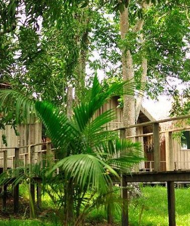 3D2N • 3-Day Manaus Amazon Jungle Adventure