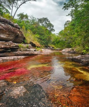 3D2N • 3-Day Trip to Caño Cristales from Bogota