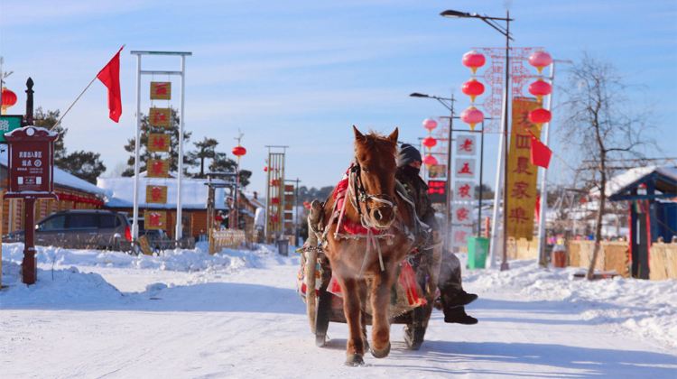 3-Day Mini group tour to Mohe , Arctic Village. Watch auroras, meet reindeer , try boiling water freezing.