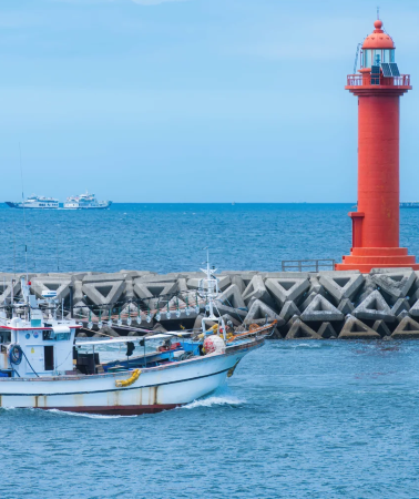 5D4N • South Korea Jeju Island 9-person Deluxe Tour with yacht dolphin watching. 24-hour transfers. Volcanic island, flower cafes, yacht cruise
