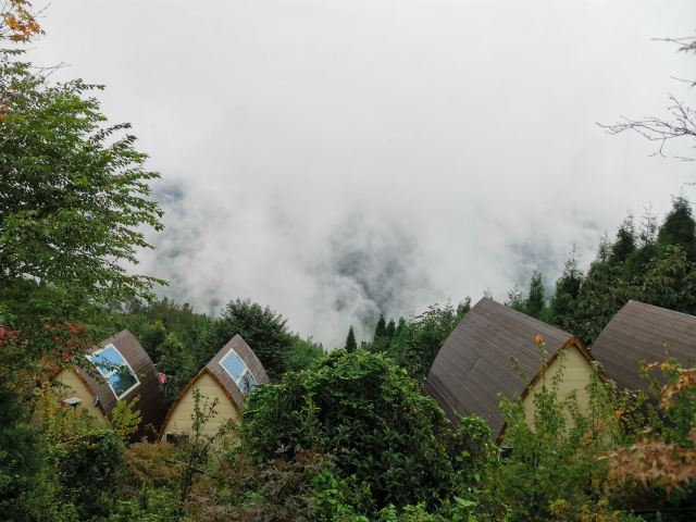 川西红枫岭旅行图片 5