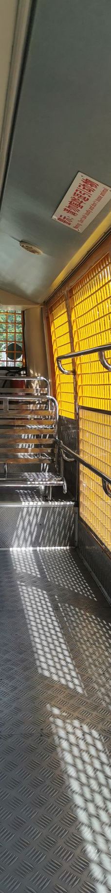 上海野生动物园-上海