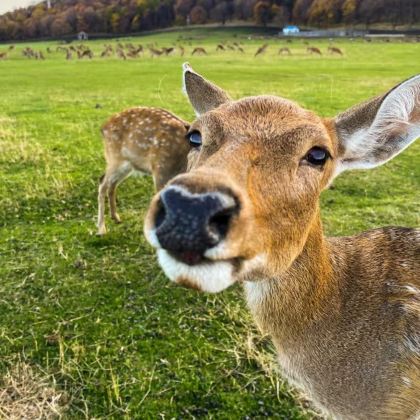 哈尔滨+伊春6日5晚拼小团