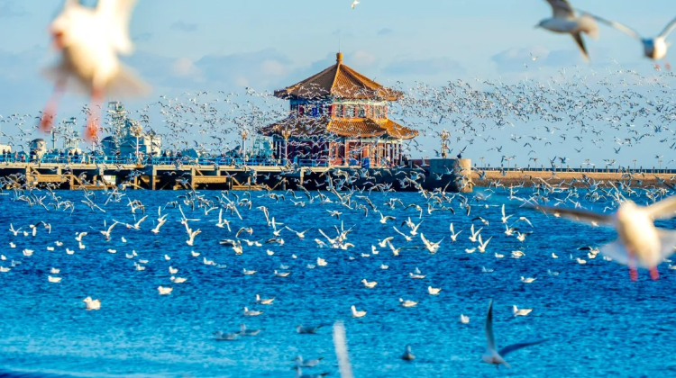 3D2N · Group Tours · China + Shandong + Qingdao + Laoshan Scenic Spot