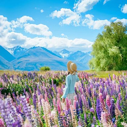 澳大利亚+新西兰9日8晚拼小团