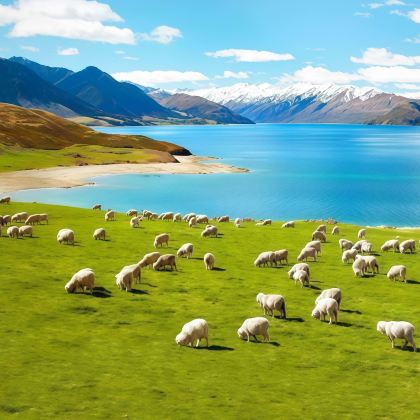 澳大利亚7日跟团游