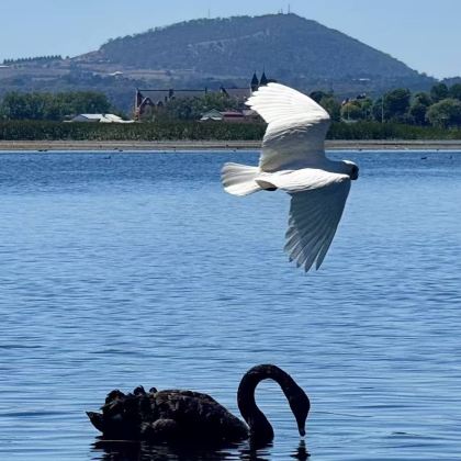 澳大利亚8日6晚拼小团