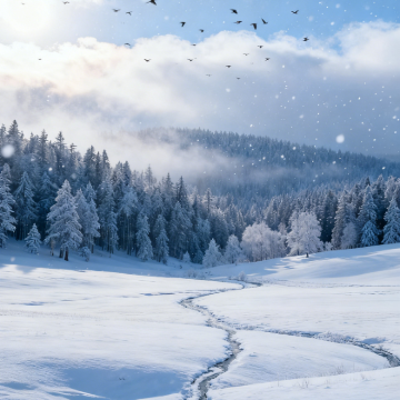 哈尔滨+雪谷+中国雪乡+亚布力滑雪旅游度假区+哈尔滨冰雪大世界5日4晚拼小团