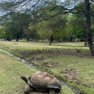 毛里求斯8日7晚私家团
