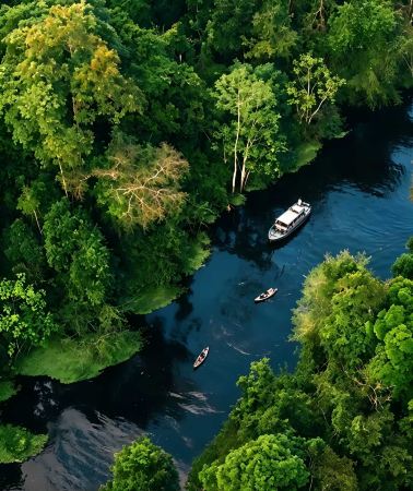 2D1N • Venture deep into the Amazon rainforest of Brazil to explore the wild kingdom of the Amazon