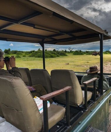 3D2N • 3 Days Camping Safari in Chobe National Park From Victoria Falls