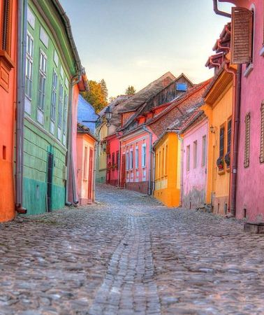 2D1N • 2-Day Small-Group Tour to Dracula's Castle, Rasnov Fortress, Peles Castle, Sighisoara and Libearty Brown Bear Sanctuary with Overnight in Brasov