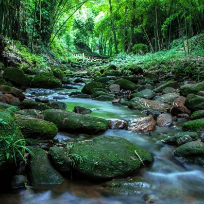 邛崃川西竹海景区+成都天台山旅游景区+邛人部落3日2晚私家团