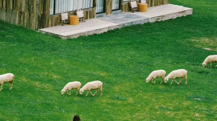 昆明+4
