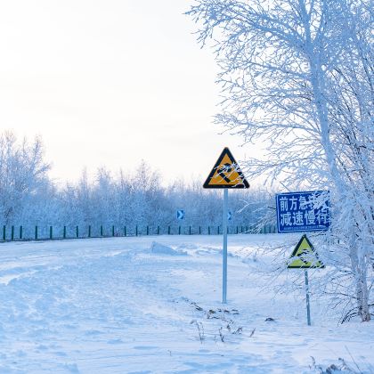 呼伦贝尔+阿尔山+满洲里6日5晚跟团游