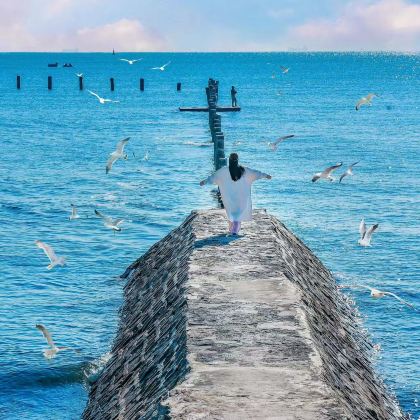 威海+烟台4日3晚拼小团