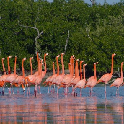 墨西哥城+坎昆8日7晚跟团游