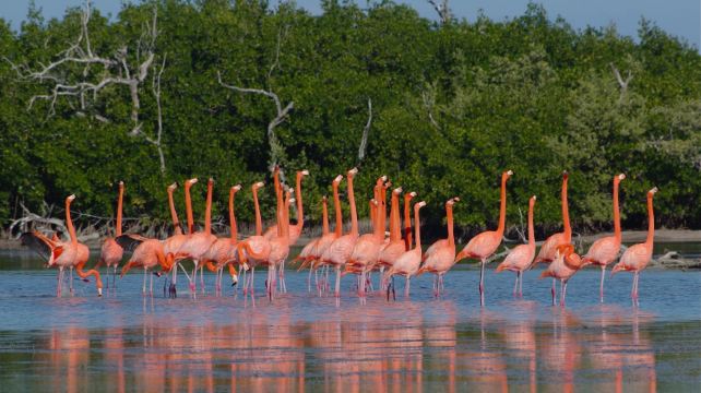 <7天>【16人團 · 雙城文化之旅】舒適型酒店+坎昆進墨城出+含內陸機票·日月金字塔+霍奇米爾科+人類學博物館+奇琴伊察+伊克基爾天坑+贈2餐墨西哥特色午餐+可選日遊(粉紅湖/女人島/圖倫古城)