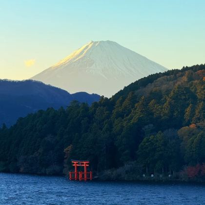 日本东京+箱根+大阪+京都8日7晚私家团