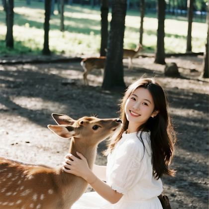 哈尔滨＋伊春＋五大连池风景区＋漠河＋齐齐哈尔14日13晚跟团游