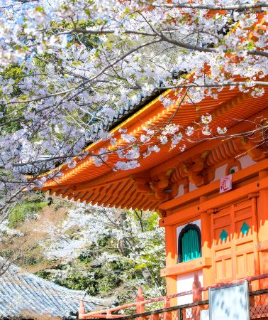 3天2晚 • 日本熊野古道＋白濱溫泉＋和歌山市