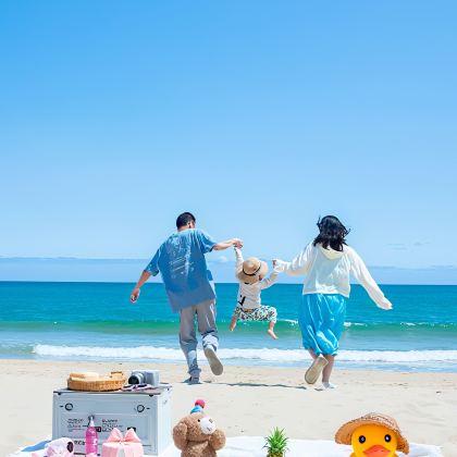 大连+老虎滩海洋公园+大连森林动物园4日3晚跟团游