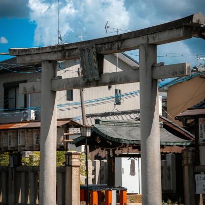 日本7日6晚私家团