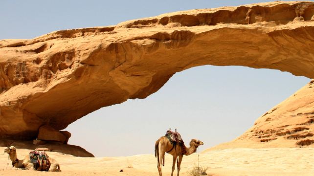 8-Day Classic Jordan Ancient Cities and Desert Adventures Tour from Amman·Jerash Governorate, Dead Sea, Wadi Rum and Aqaba | Entrance Fees Included