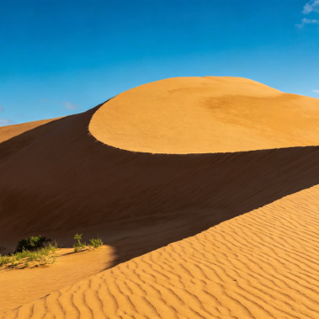 越南芽庄+美奈+胡志明市+大叻7日6晚私家团