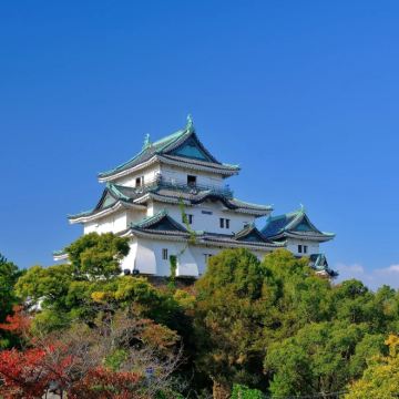 日本大阪+京都+神户+奈良市+和歌山市+熊野古道11日10晚私家团