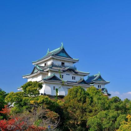 日本大阪+京都+神户+奈良市+和歌山市+熊野古道11日10晚私家团
