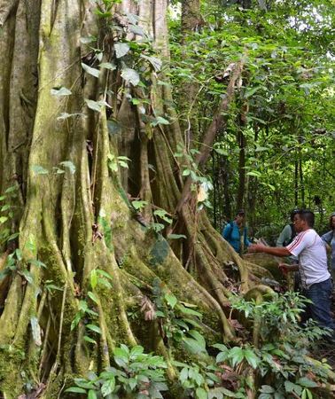 4D3N • 4 Days Amazon Immersive Experience in the Cuyabeno Reserve
