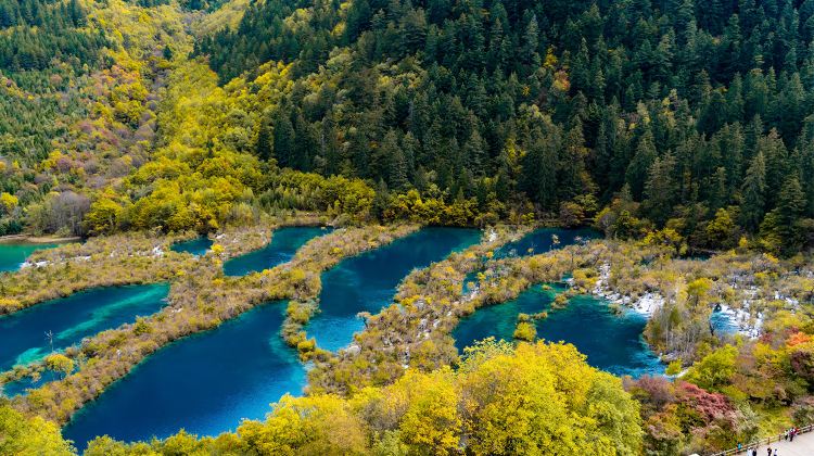 <7天>【7日6晚 · 旅行团 · 重庆＋成都＋九寨沟＋黄龙】·国际旅客专团+出发前2天可取消预订丨包高铁票丨市中心酒店丨24小时微管家+接送站