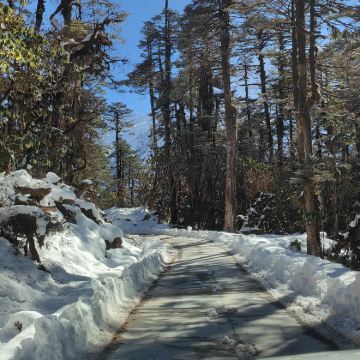 林芝+墨脱+雅鲁藏布大峡谷+来古冰川+巴松措+果果塘大拐弯5日4晚跟团游