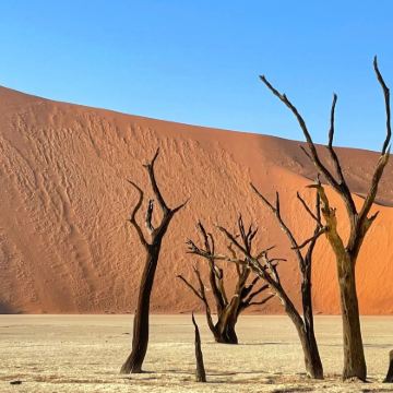 纳米比亚温得和克+纳米布沙漠+鲸湾港+Spitzkoppe+颓废方丹+埃普帕瀑布+埃托沙国家公园11日9晚私家团