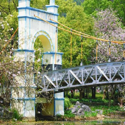 鹿寨香桥岩溶国家地质公园+龙潭公园+柳州博物馆+窑埠古镇2日1晚私家团