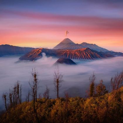 印度尼西亚泗水+布罗莫火山2日1晚自由行