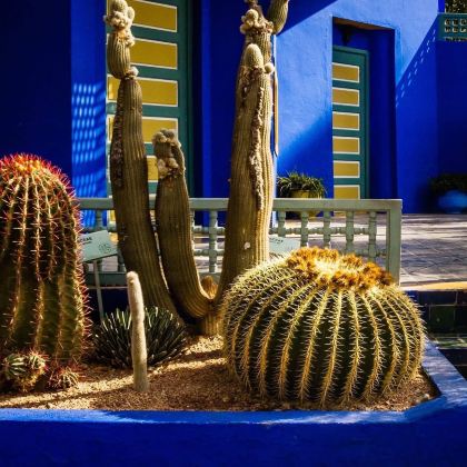 丹吉尔+舍夫沙万+非斯+瓦尔扎扎特+撒哈拉沙漠+马拉喀什6日5晚私家团