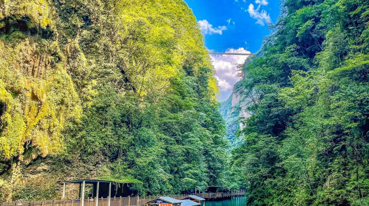张家界+武陵源+天门山4日3晚跟团游·纯玩4钻•直达张家界【四大全景】奇幻•黄龙洞丨双玻•玻璃桥+玻璃栈道丨天子山云海《西游记》取景·金鞭溪丨十里画廊丨《阿凡达》悬浮山·袁家界丨天门山索道丨天门洞丨大峡谷游船