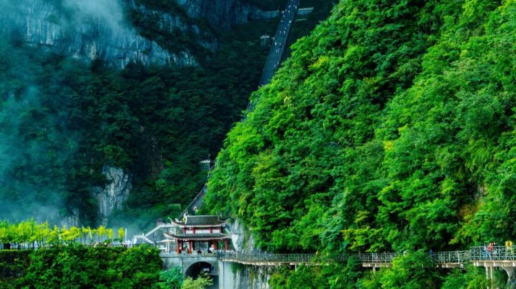 5D4N · Private Tours · Premium Zhangjiajie 5-Day Private Itinerary ,Wulingyuan, Tianmen & Grand Canyon , Free Aerial Vlog Included + All 3 Core Attractions Covered