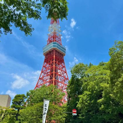 日本东京+富士山+大阪+京都+奈良+名古屋7日6晚跟团游