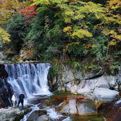 成都+剑门关+阆中古城+光雾山旅游景区+米仓山国家森林公园6日5晚私家团